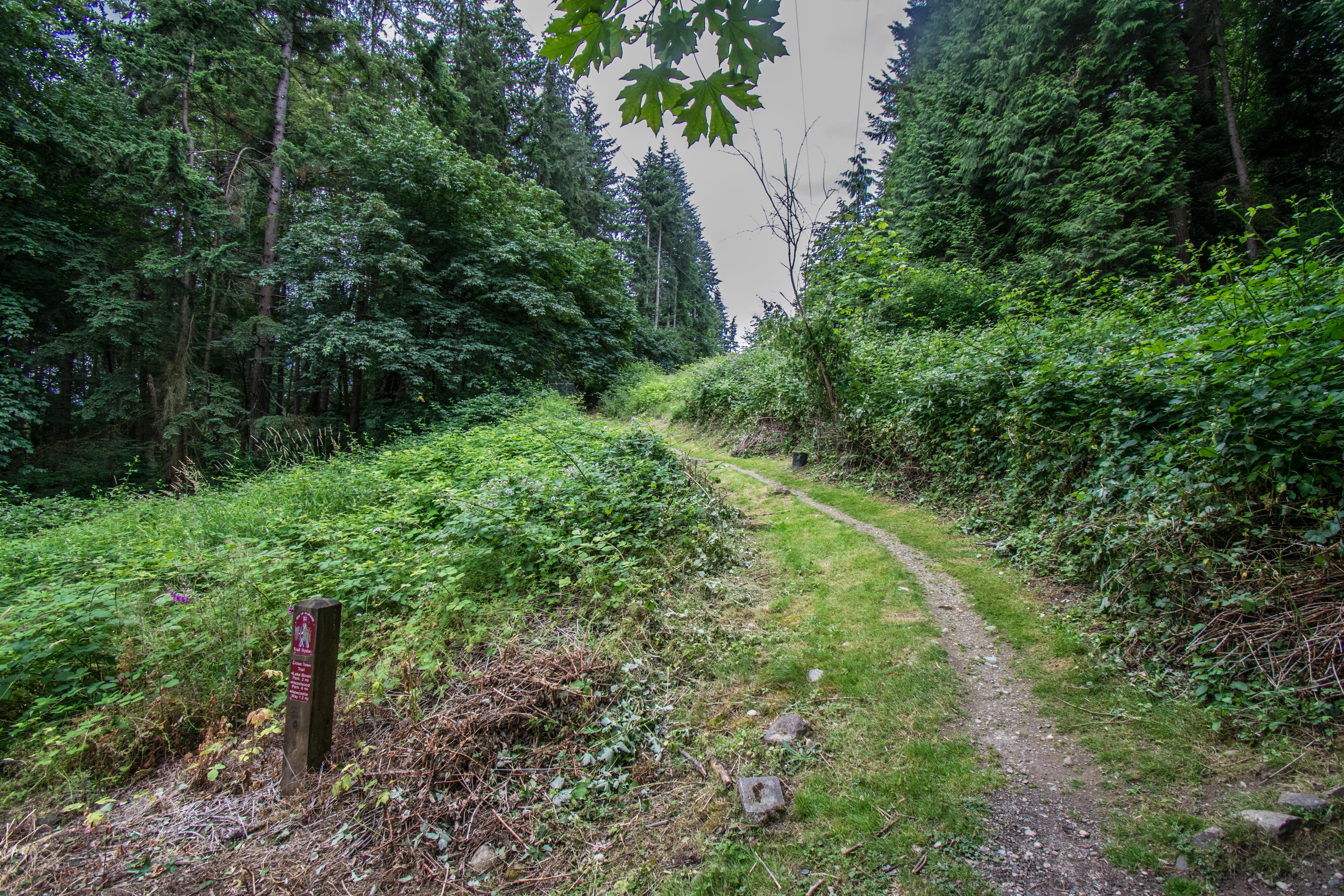 ../images/trails/crosstown_west//20 View of Olympus Trail looking south.jpg